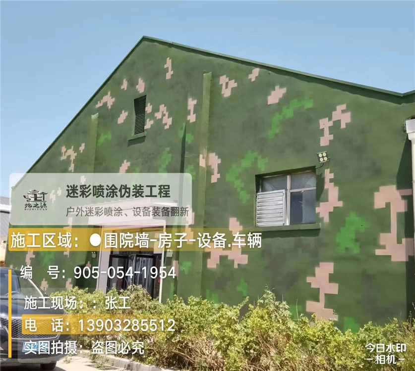滨州外墙数码迷彩漆施工报价清单（100㎡标准墙面测算）